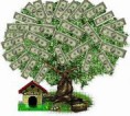 /album/galeria-de-fotos-pagina-inicial/cash3-jpg/